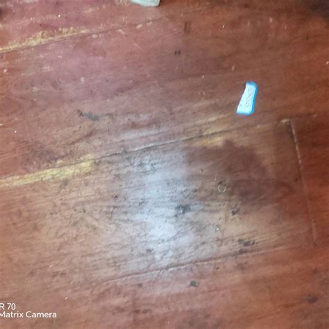 原料药 在线买球官方网站